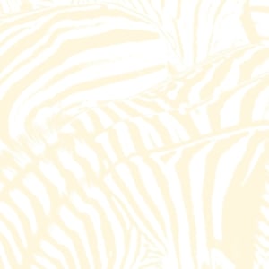 Better Times - Beach House