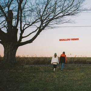 you were good to me (shallou remix) - Jeremy Zucker & Chelsea Cutler