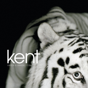 Socker - kent