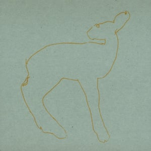 Declarer - Songs: Ohia