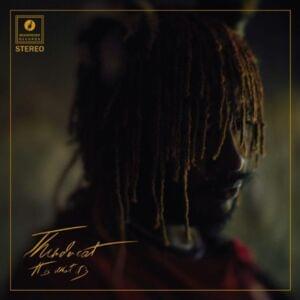 Unrequited Love - Thundercat