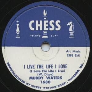I Live the Life I Love (I Love the Life I Live) - Muddy Waters