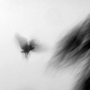 теперь тебя нет (now you’re gone) - elox1m
