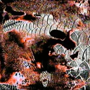 lock-on - BONES & cat soup