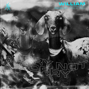 ANTEEKS - william (FIN)