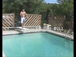 Diver’s Daydream - Dan Bull