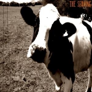 the serving - Lil Ugly Mane