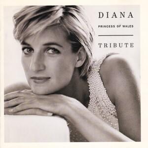 Love Is a Beautiful Thing - Tina Turner
