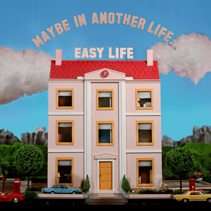 MEMORY LOSS - hard life