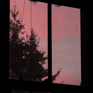 deconstruction - Foxtails