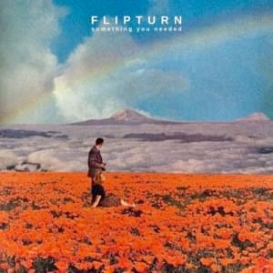Something You Needed - flipturn