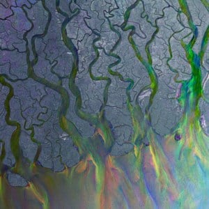 ❦ (Ripe & Ruin) - alt-J
