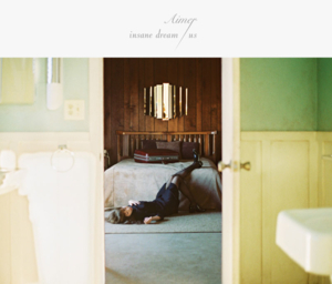 insane dream - Aimer