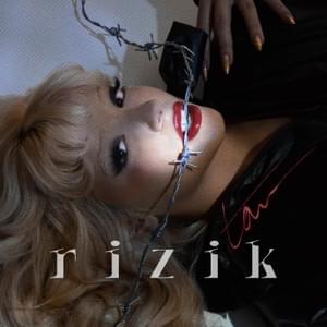 rizik - tam