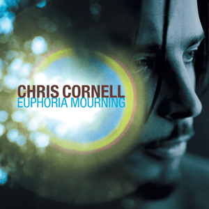 Sweet Euphoria - Chris Cornell