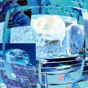 (Ɔ ˘⌣˘)♥ hamster song ♥(˘⌣˘ C) - death insurance