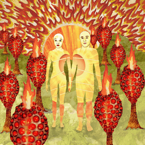 Death of a Shade of a Hue - of Montreal