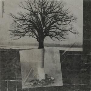 hamuj! (interludium) - Hodak