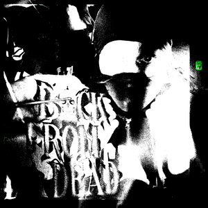osama - KASHCOUNTI