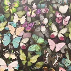 Бабочки (Butterflies) - Елена Темникова (Elena Temnikova)