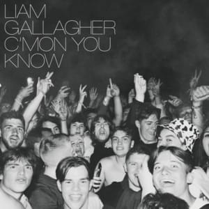 The Joker - Liam Gallagher