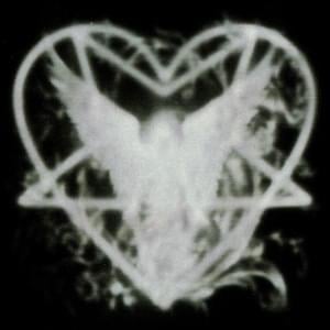 superestrella - tarchi