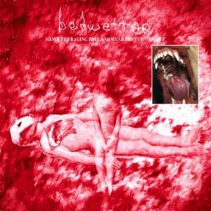 untitled (I Just Don’t Remember) - bedwetter