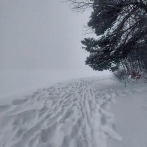 enough - 1oneam