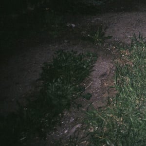 theoceanhasneverbeensocold - surrenderdorothy