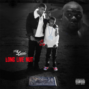 Testimony (Remix) - YFN Lucci (Ft. Boosie Badazz & Monica)