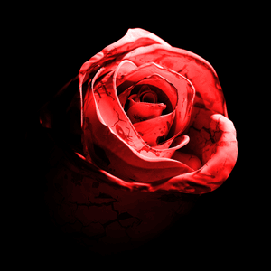 Romantic Homicide (Live Version) - d4vd