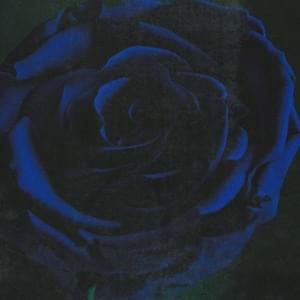 Ghost (Acoustic) - Imminence