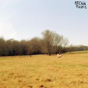 closer / get back - Orchid Mantis