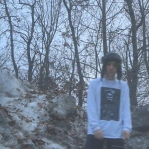 Snowflakes - guardin