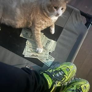 ca$h cow - Nettspend
