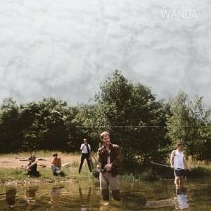 Nimm sie wenn du’s brauchst - Wanda