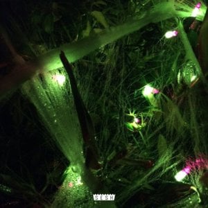 ​keep me okay - Drew the architect & Grayera (Ft. BONES)