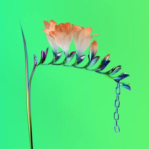 TRUST - Flume (Ft. Isabella Manfredi)