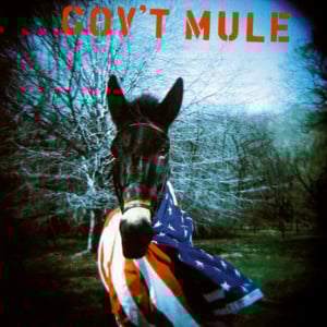 World Of Difference - Gov't Mule