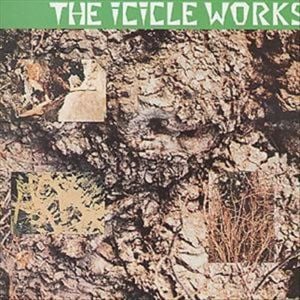A Factory In The Desert - The Icicle Works