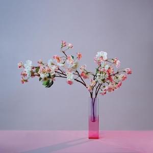 temporary nothing (revisited) - mxmtoon