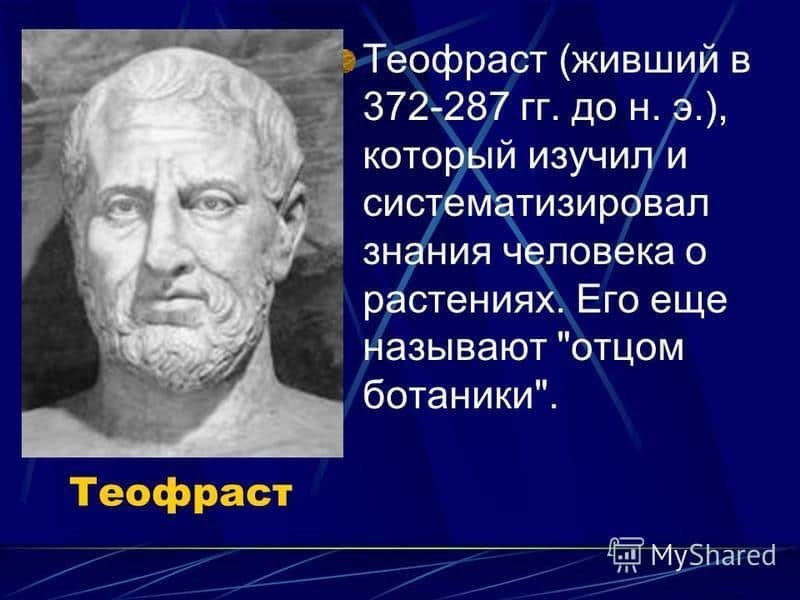 Теофраст