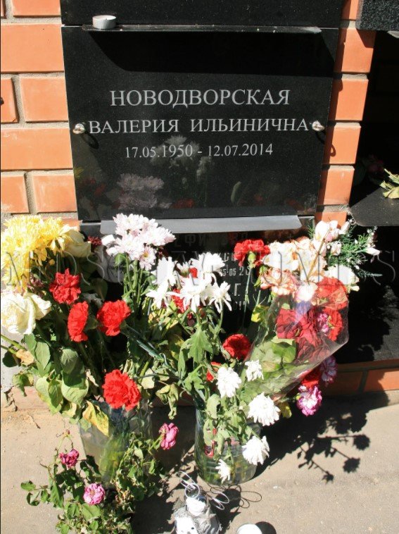 Валерия Ильинична Новодворская