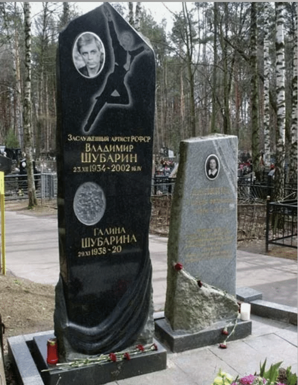 Владимир Александрович Шубарин