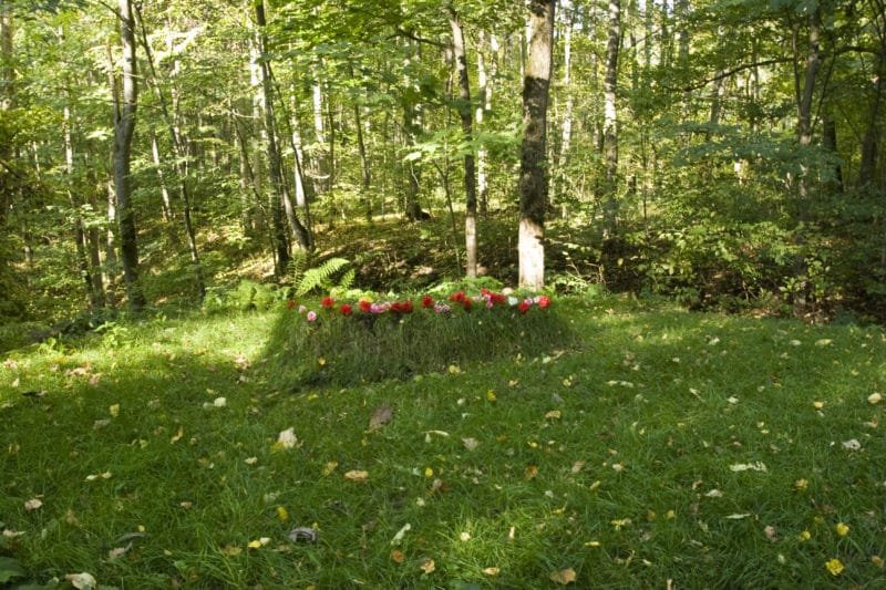 Лев Николаевич Толстой