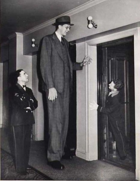 Роберт Уодлоу - самый высокий человек в мире 